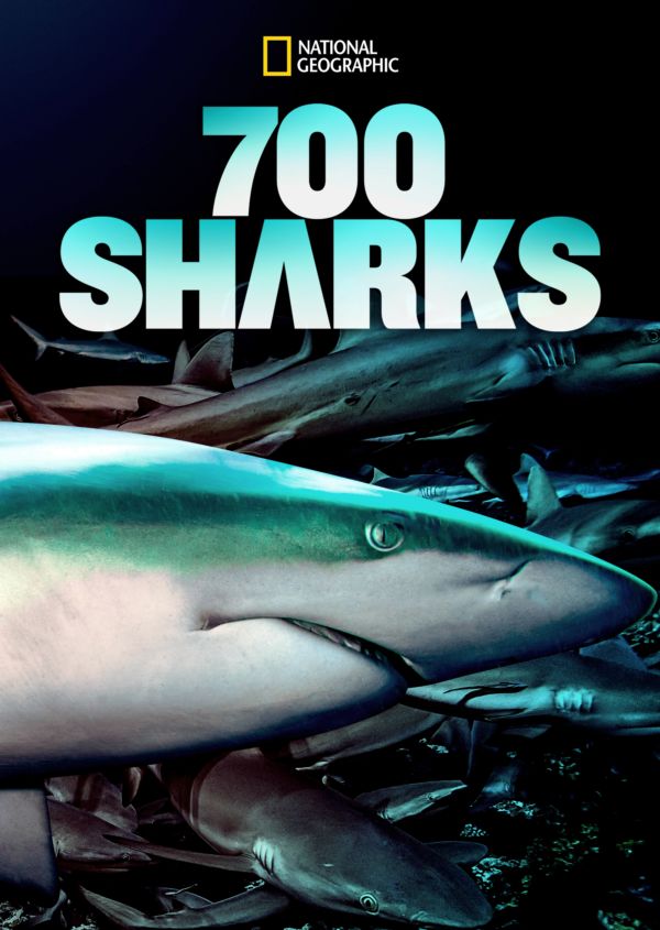 700 Sharks (700 requins dans la nuit)
