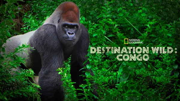 thumbnail - Destination Wild : Congo