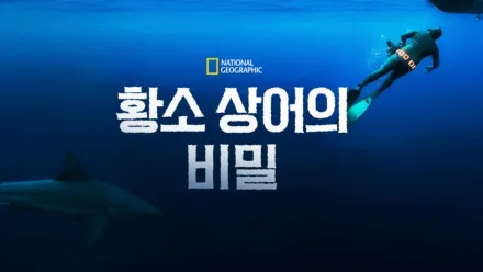 thumbnail - 황소 상어의 비밀