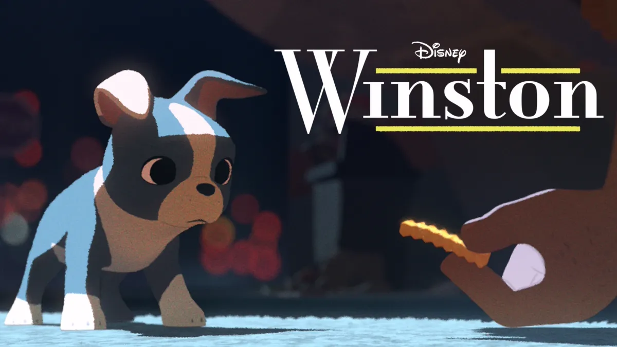 Guarda Winston | Disney+