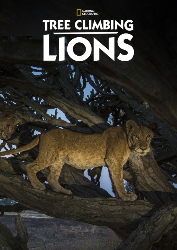 Tree Climbing Lions on Disney+ ES
