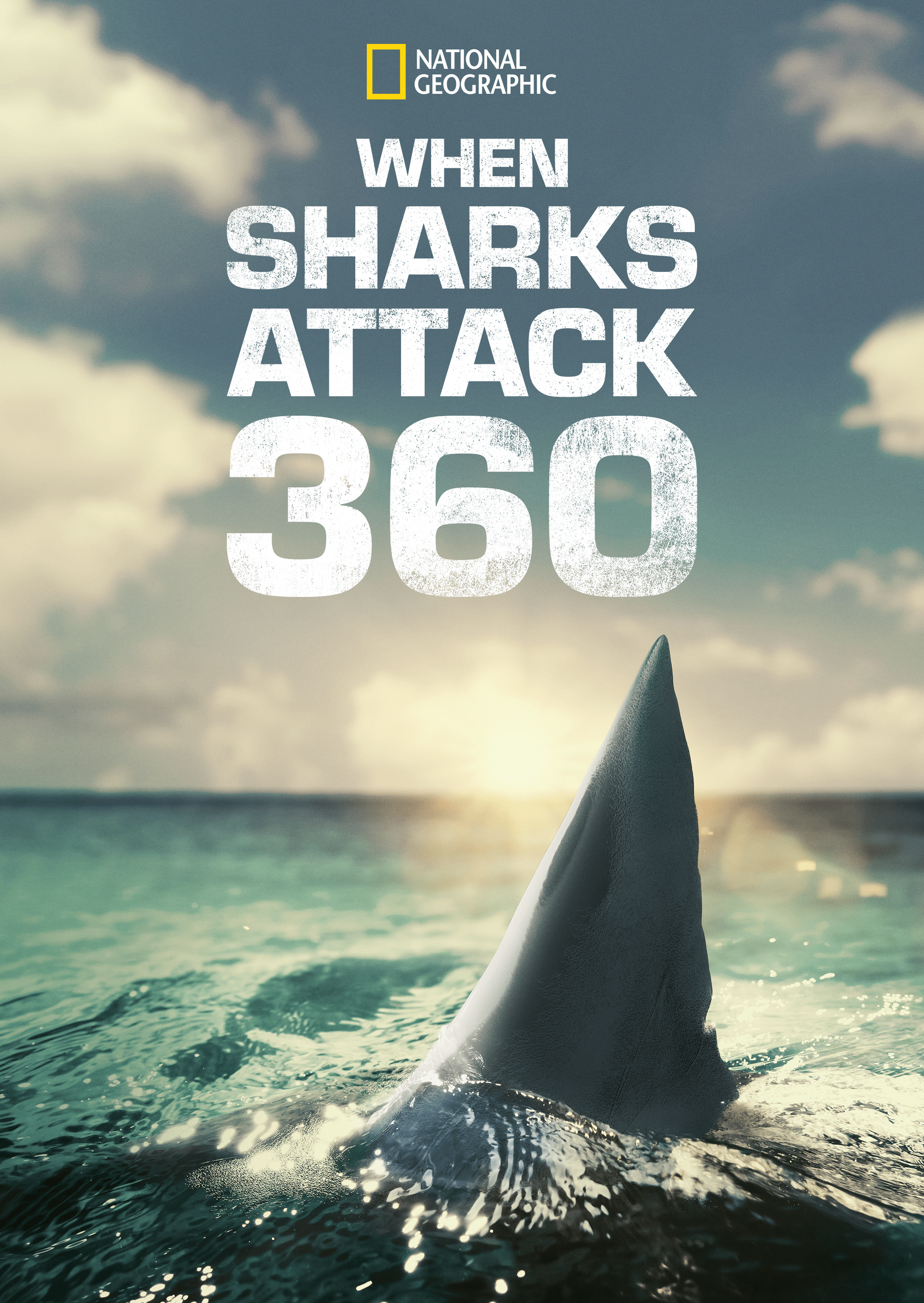 Watch When Sharks Attack 360 | Full Episodes | Disney+