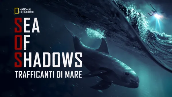 thumbnail - Sea of Shadows: Trafficanti di mare