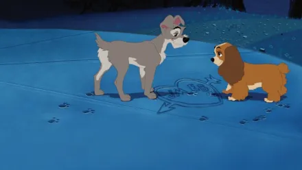 Watch lady and the tramp 1955 online outlet free