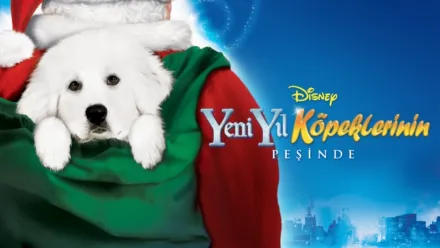 thumbnail - Yeni Yıl Köpeklerinin Peşinde