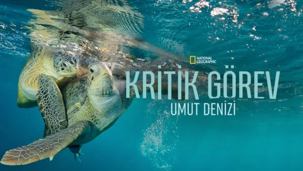 thumbnail - Kritik Görev: Umut Denizi