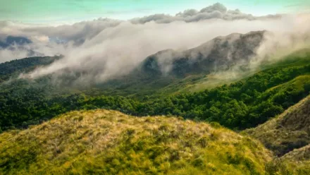 Amazzonia: la grande sfida