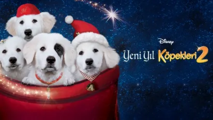 thumbnail - Yeni Yıl Köpekleri 2