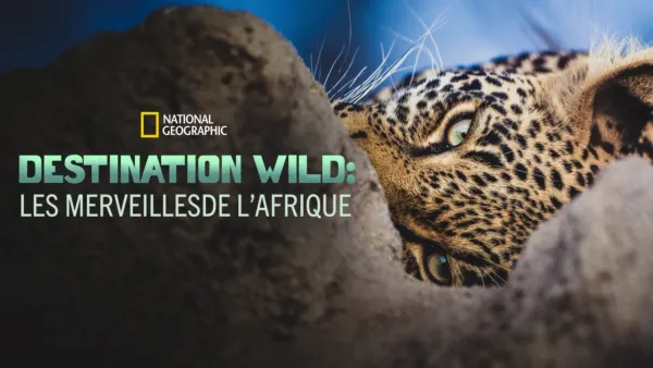 thumbnail - Destination Wild : Les merveilles de l'Afrique