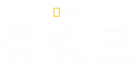 블링크