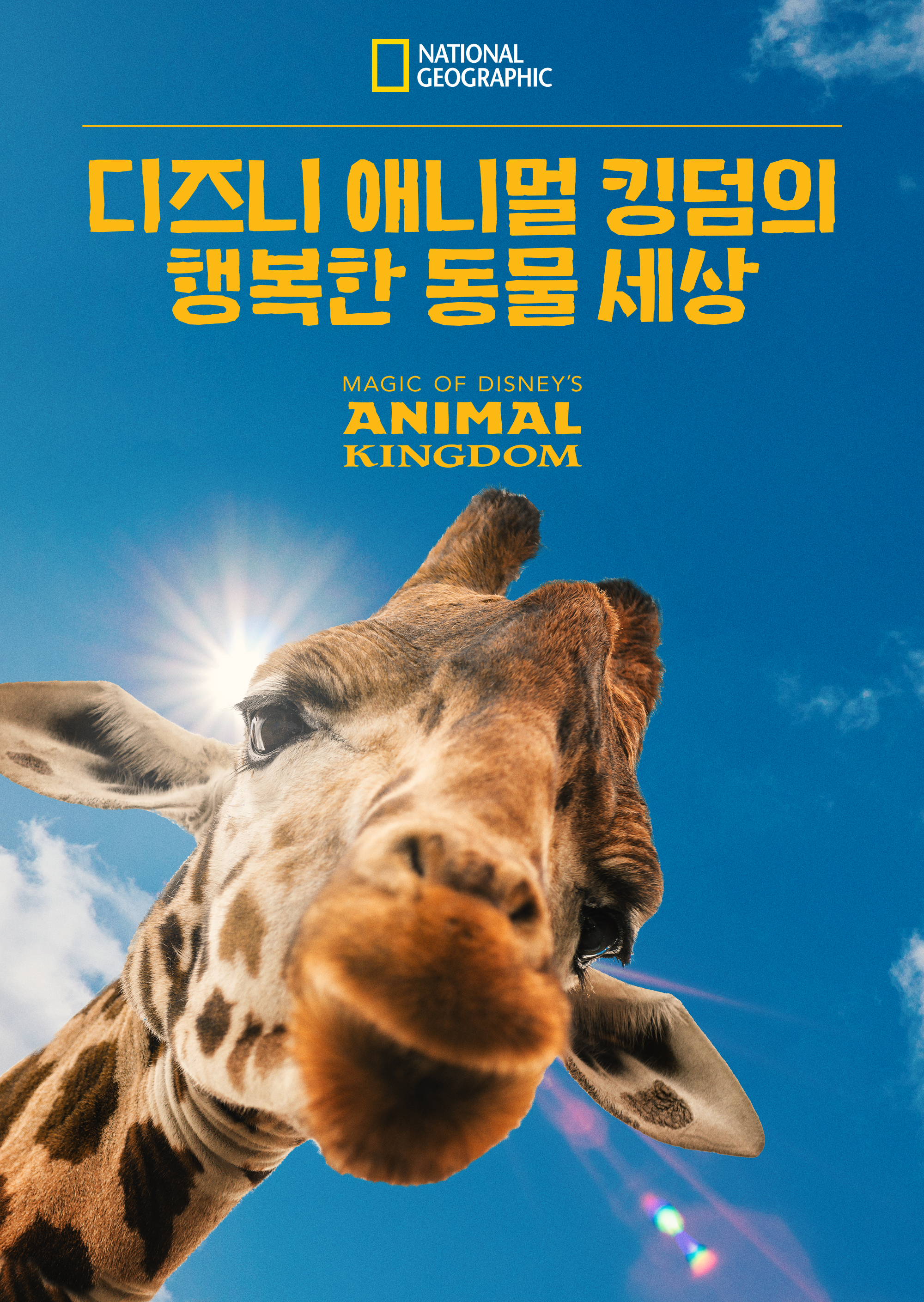 디즈니 애니멀 킹덤의 행복한 동물 세상