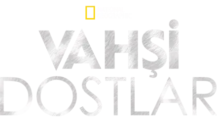 Vahşi Dostlar