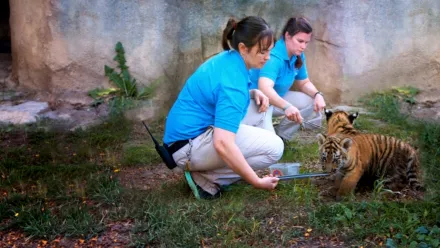 L'Oasi degli Animali