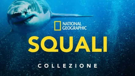 thumbnail - National Geographic: Squali