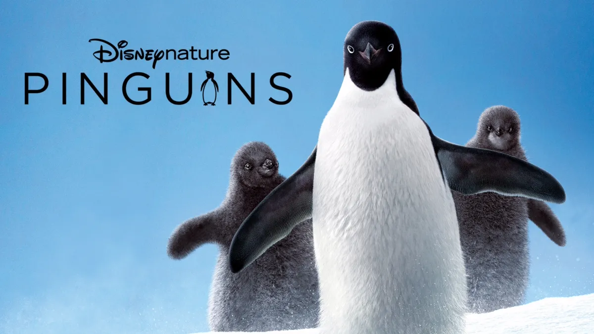 Assistir a Pinguins | Disney+