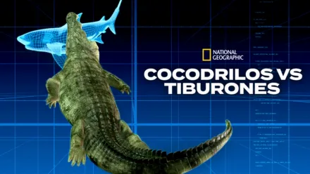 thumbnail - Cocodrilos vs tiburones