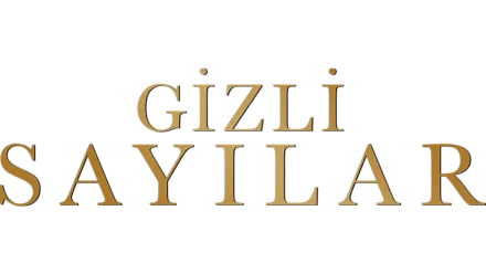 Gizli Sayılar