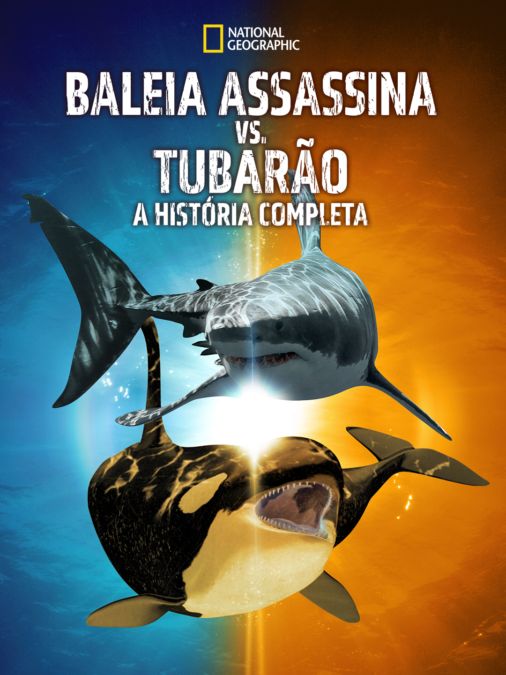 DVD4444 - orca - A baleia assassina em Promoção na Americanas