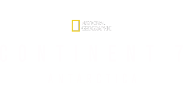 Antártida: El continente blanco