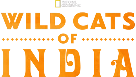 Indické divoké kočky