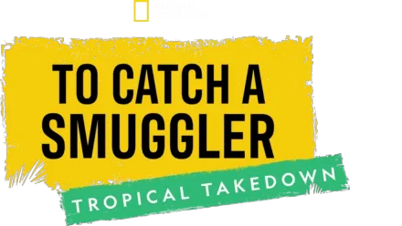 To Catch a Smuggler: Tropical Takedown