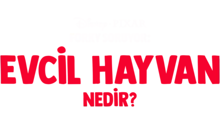 Forky Soruyor: Evcil Hayvan Nedir?