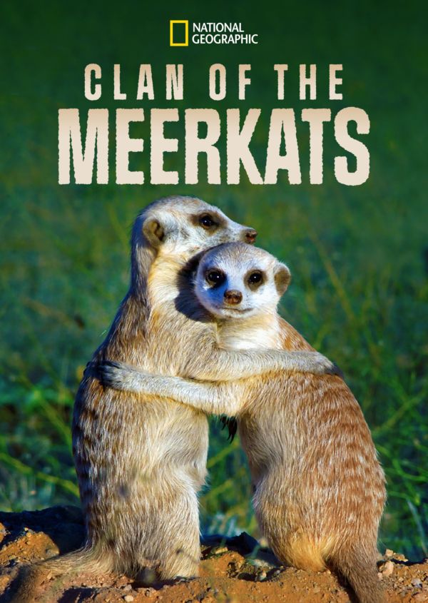 Clan of the Meerkats on Disney+ UK