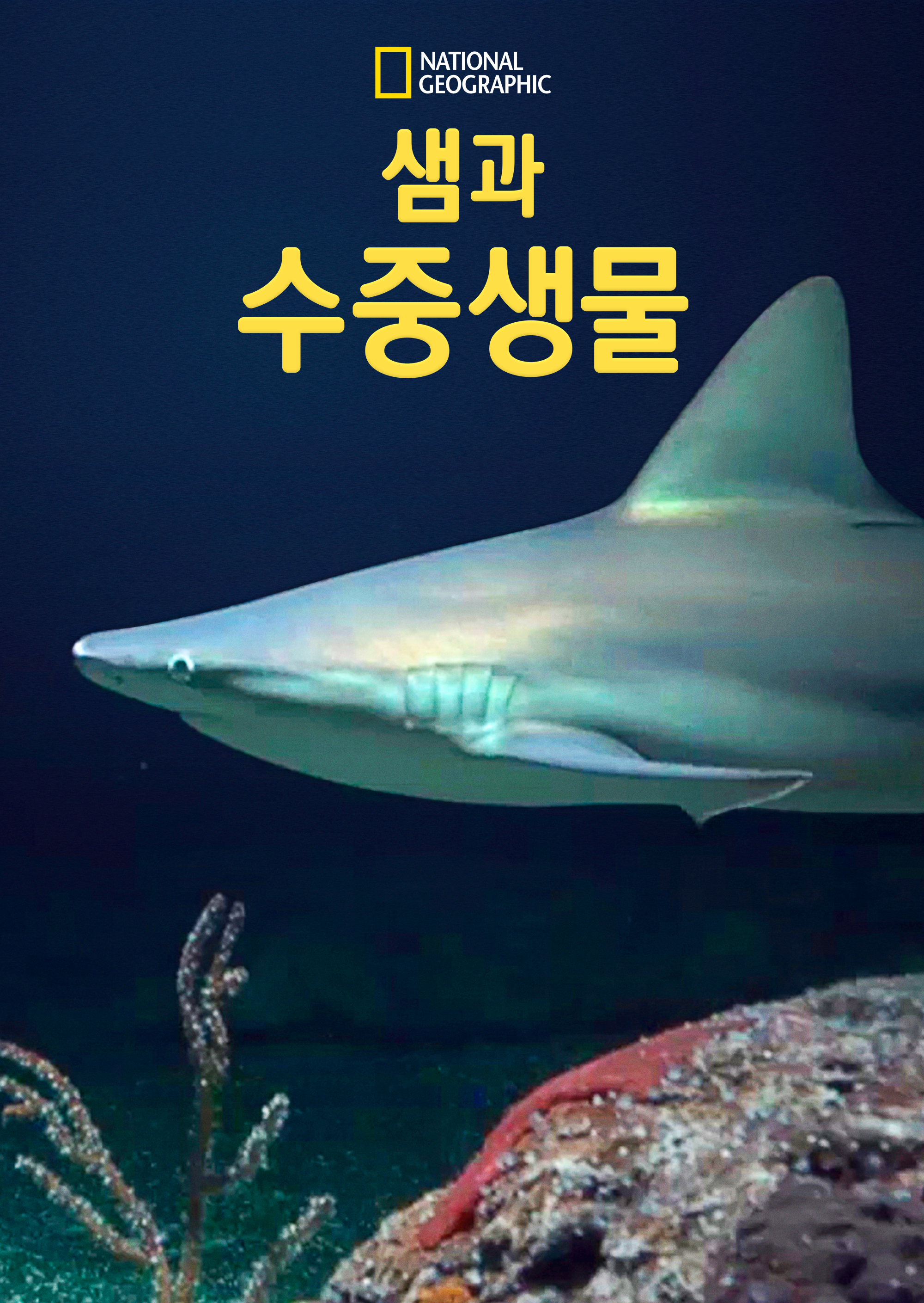 샘과 수중생물 시즌1·소나기티비