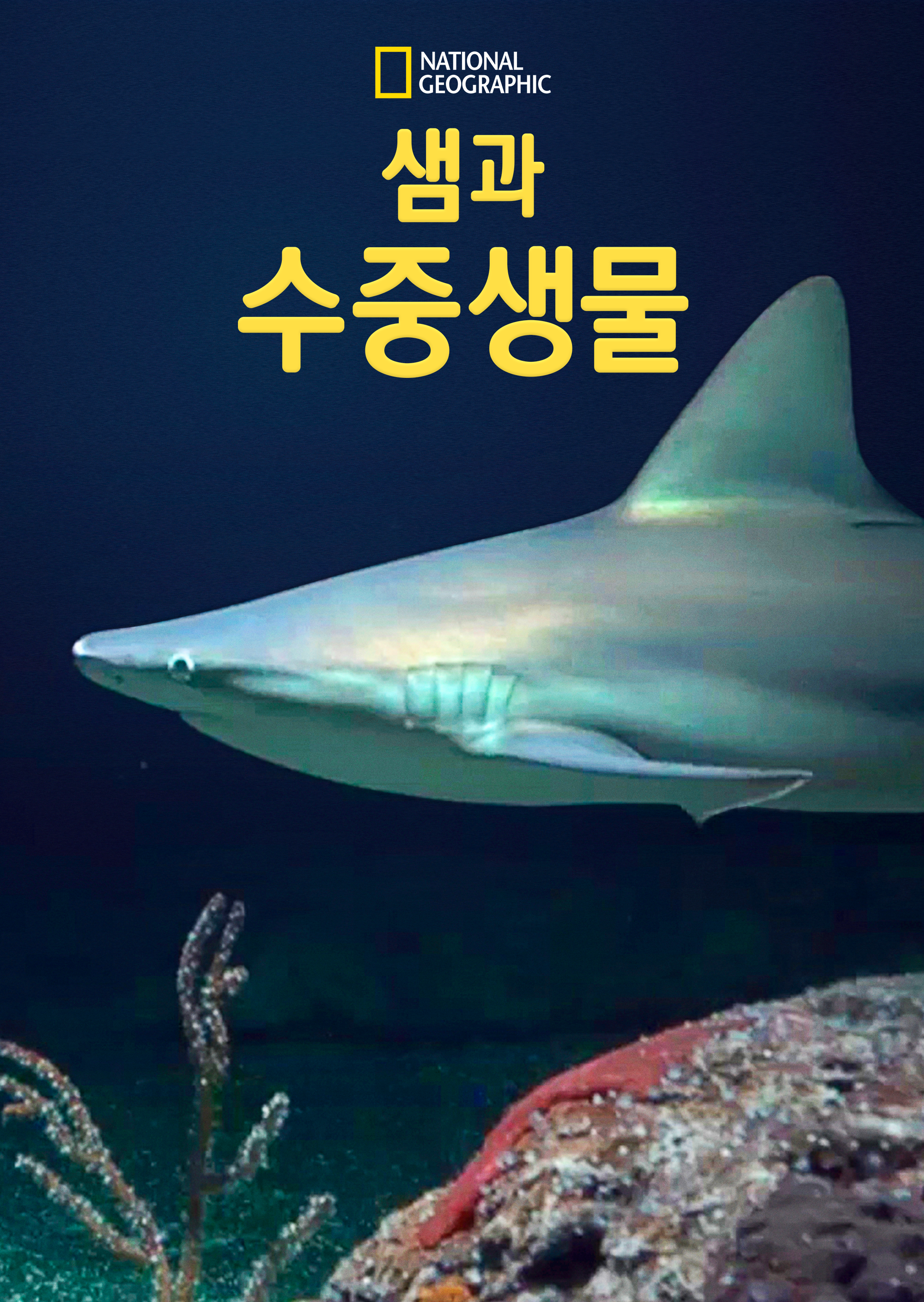 샘과 수중생물 시즌1·티비착