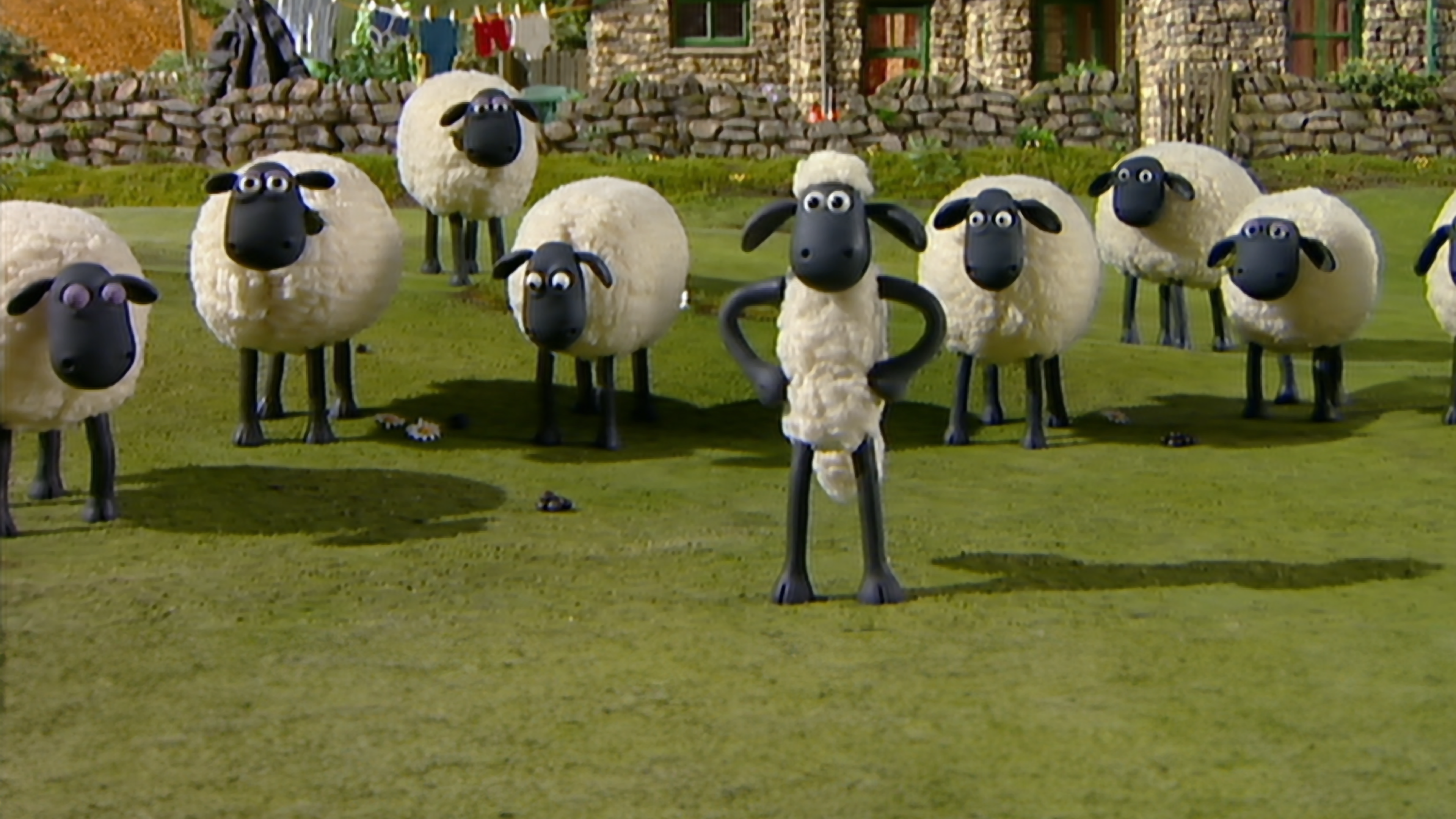 Shaun het Schaap