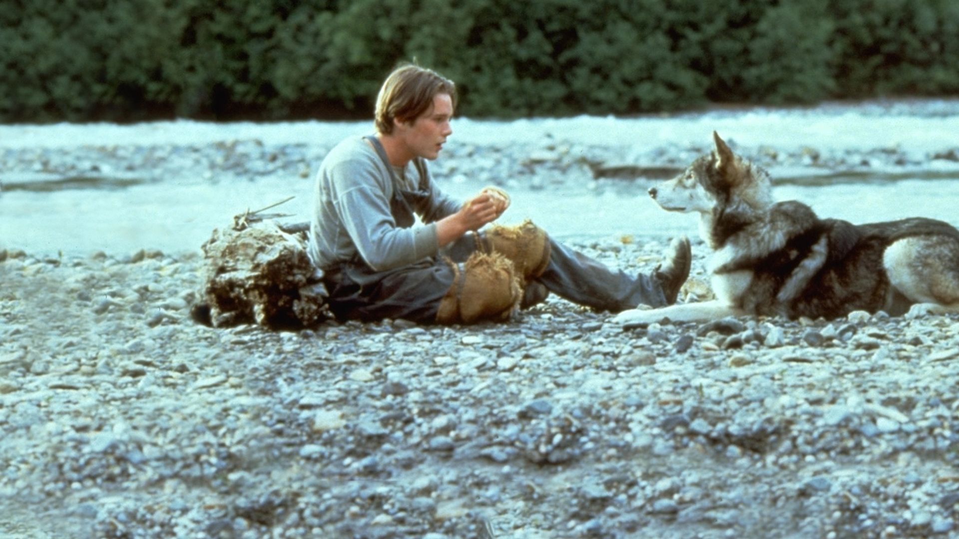 Guarda Zanna Bianca Film completo Disney+