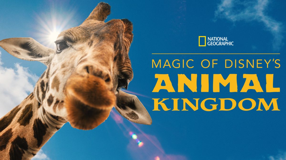 Watch Magic of Disney's Animal Kingdom | Full episodes | Disney+