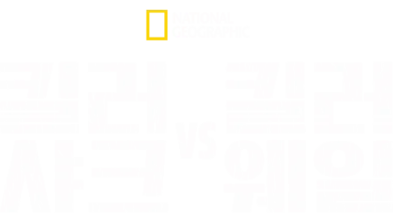 킬러 샤크 vs 킬러 웨일