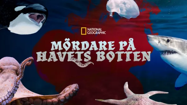 thumbnail - Mördare på havets botten