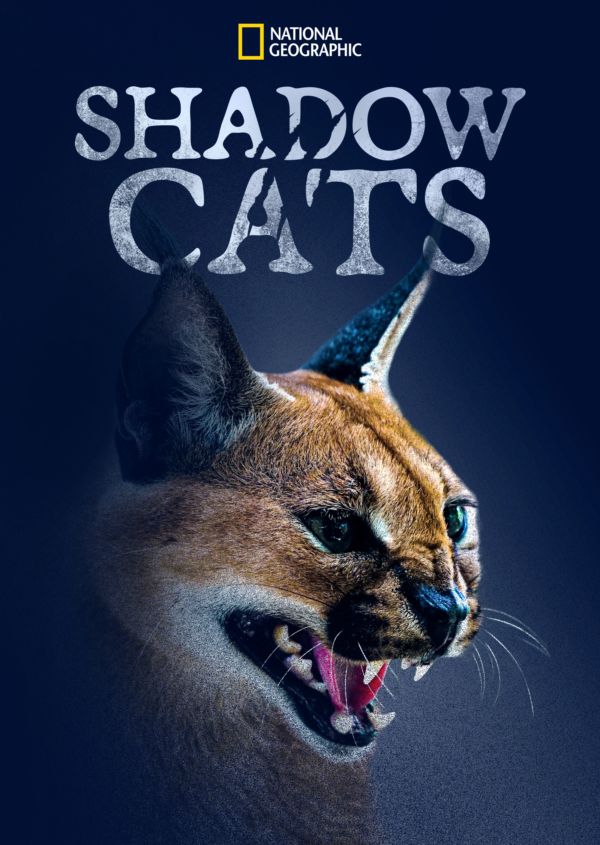 Shadow Cats on Disney+ UK