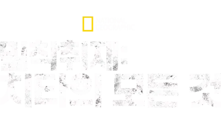 밀착취재: 치타의 모든 것