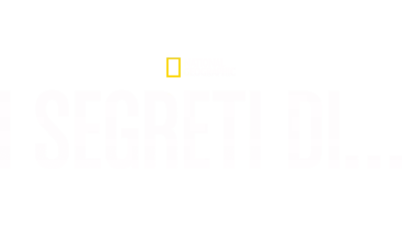 I segreti di…