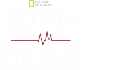 Return From the Dead