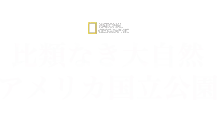 比類なき大自然：アメリカ国立公園