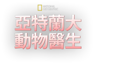 亞特蘭大動物醫生