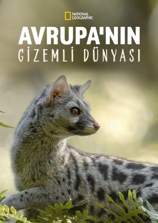 Avrupa'nın Gizemli Dünyası_tr 6