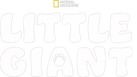 Little Giant