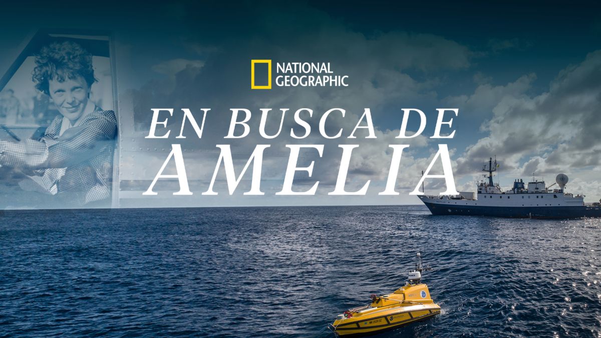 Ver En Busca de Amelia Película completa Disney+