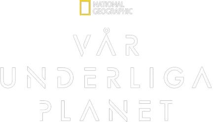 Vår underliga planet