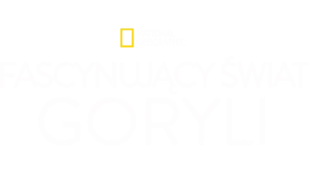 Fascynujący świat goryli