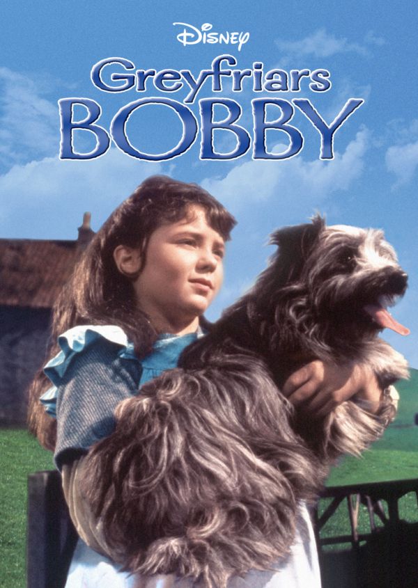 Greyfriars Bobby on Disney+ AU