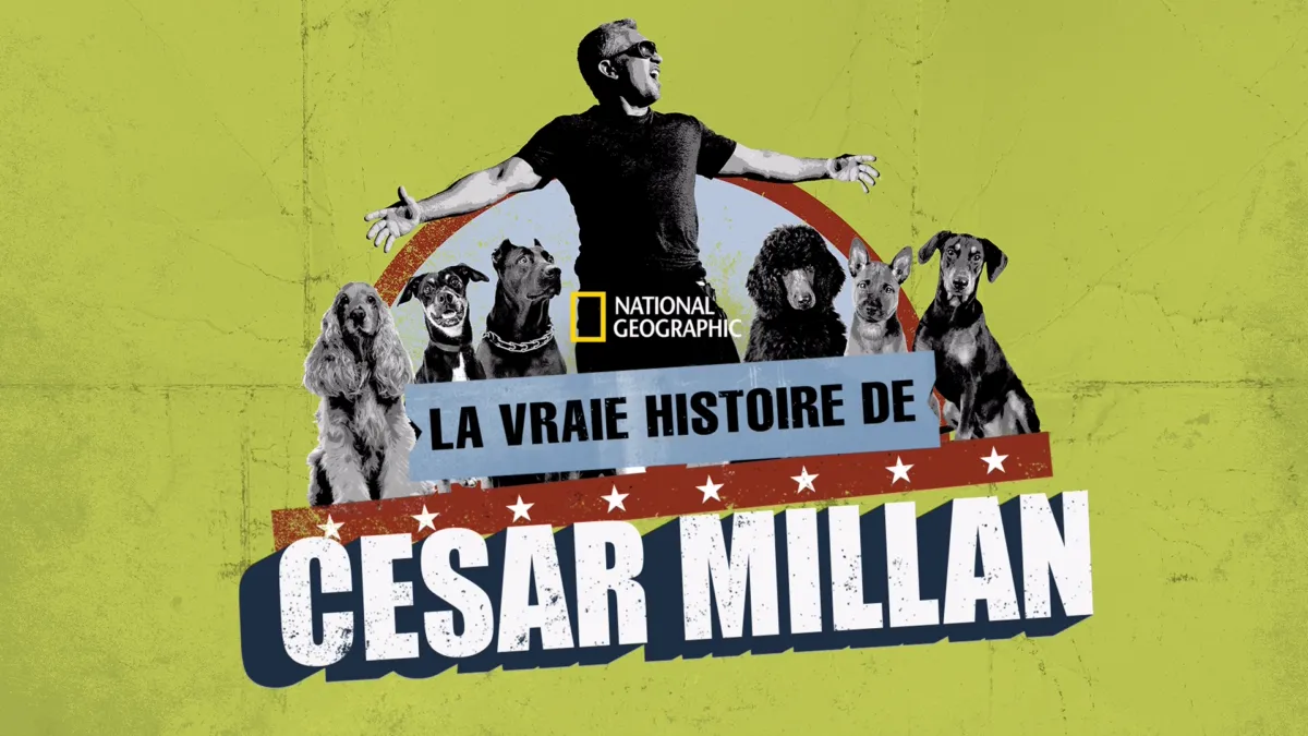 Regarder La vraie histoire de Cesar Millan Disney+