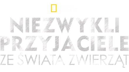 Niezwykli przyjaciele ze świata zwierząt