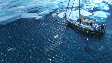 Explorer: Az Északi-sarkvidék vonzásában