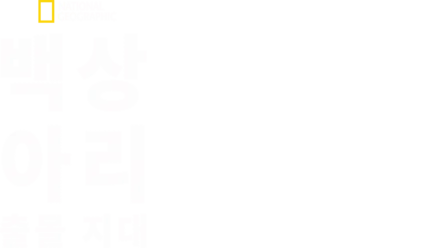 백상아리 출몰 지대